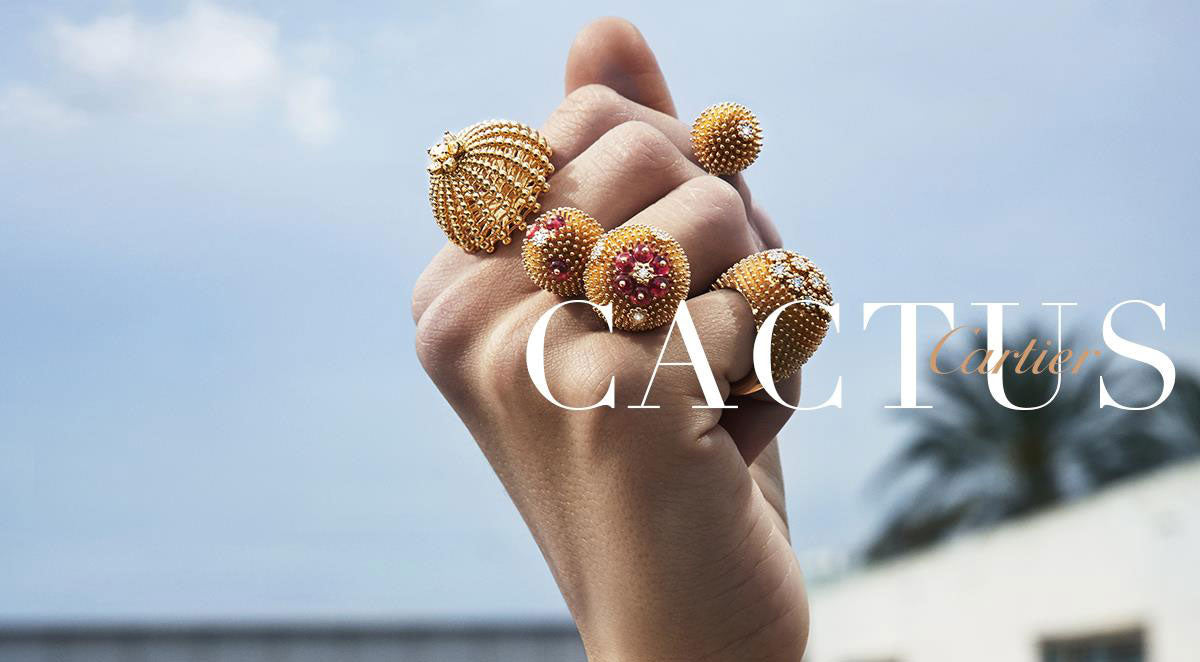 Desert Flowers: Cactus de Cartier Collection.