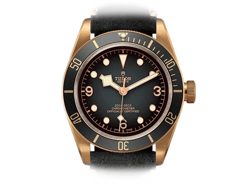 Buy original Tudor BLACK BAY M79250BA-0001 with Bitcoins!