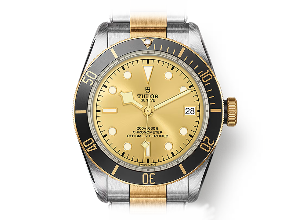 Buy original Tudor Black Bay m79733n-0004 with Bitcoins!