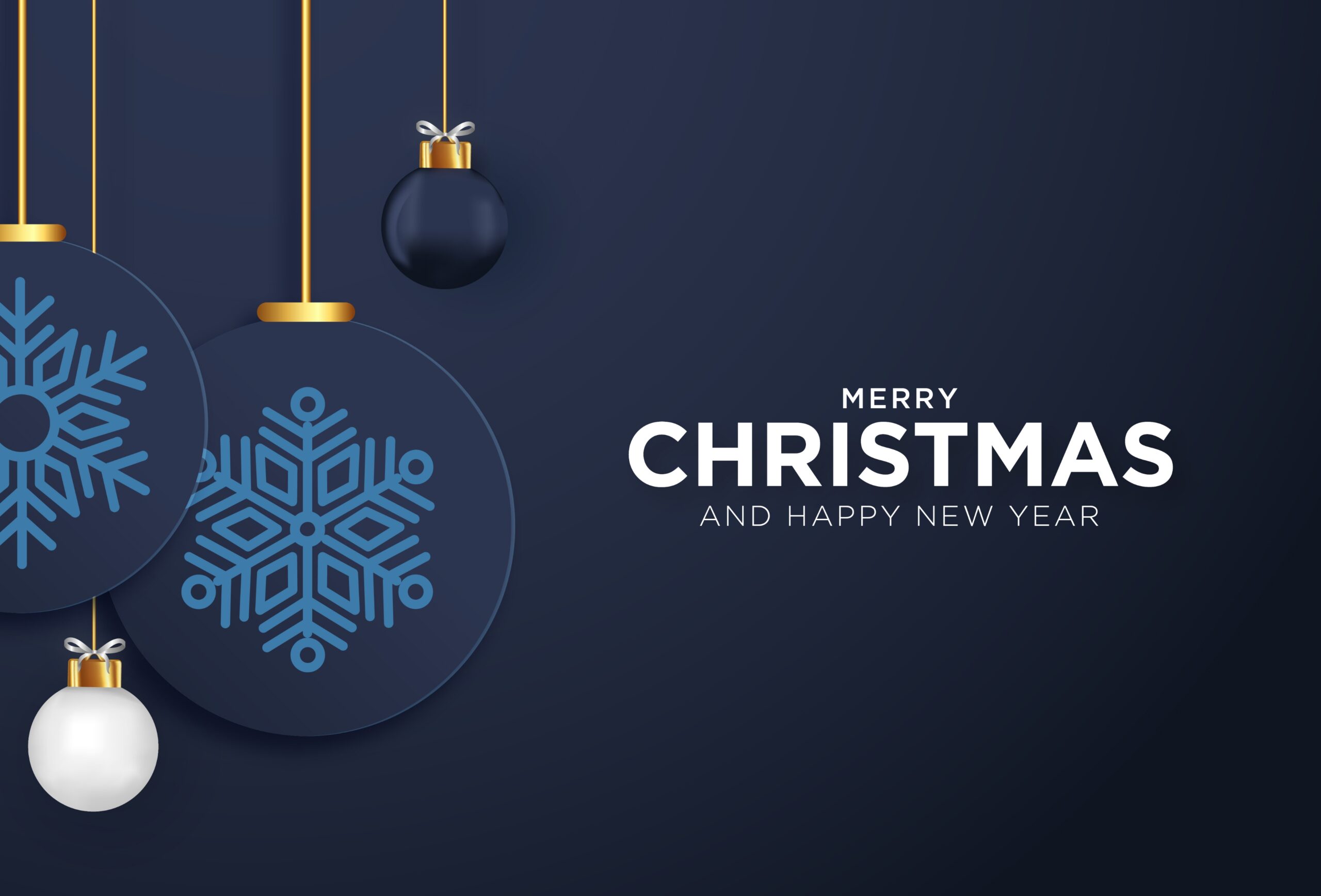 Merry Christmas & Happy New Year 2026